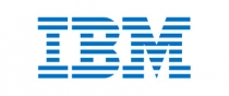 IBM (International Business Machines) 